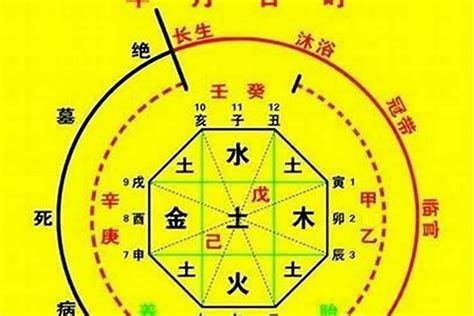 如何看喜用神|八字喜用神在线查询器,在线查五行喜神忌神